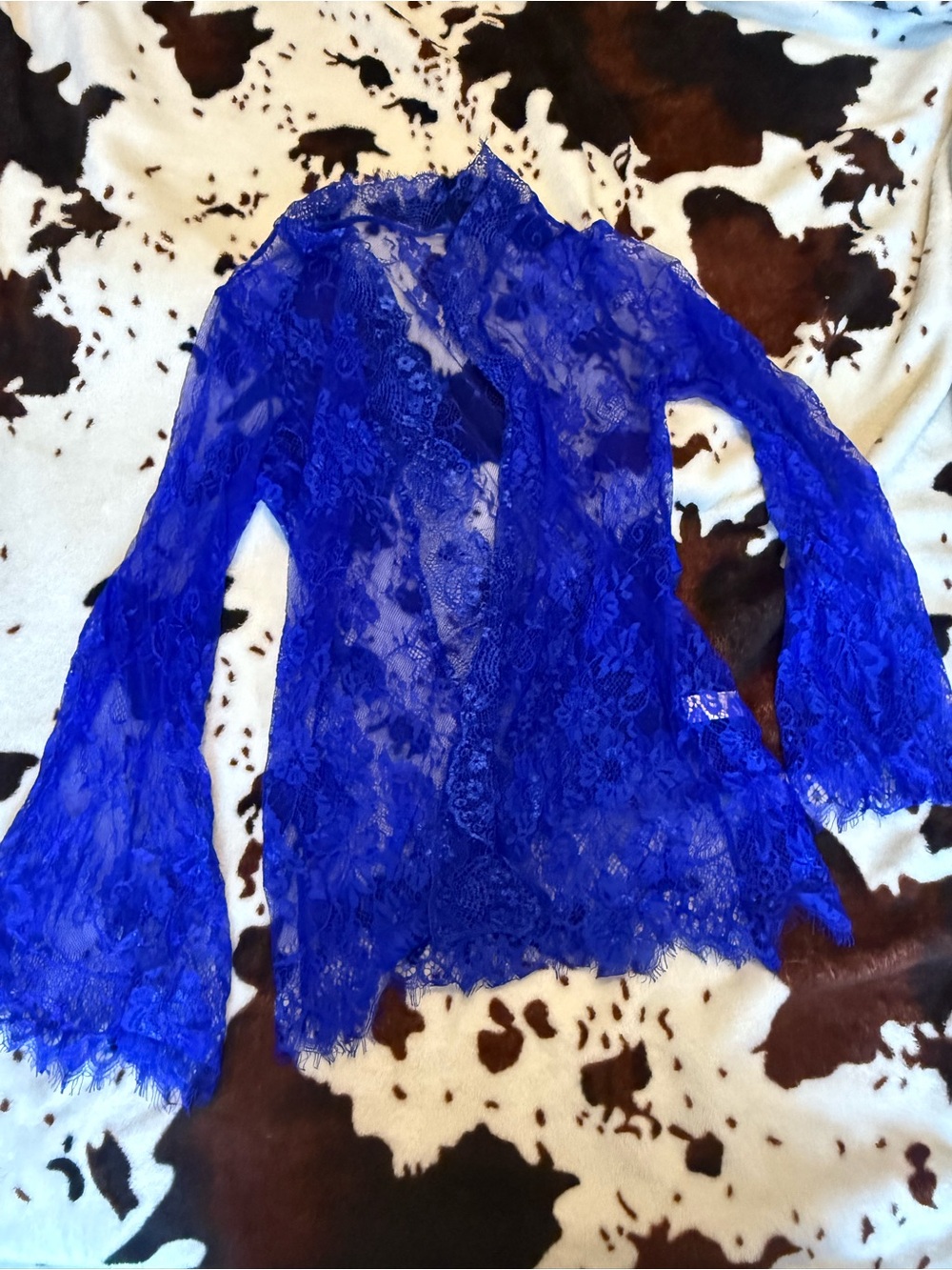 Sheer Royal Blue lingerie set